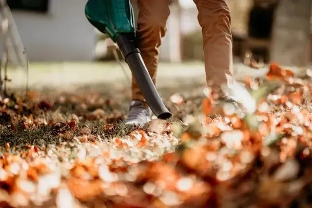 limpieza mantenimiento jardines