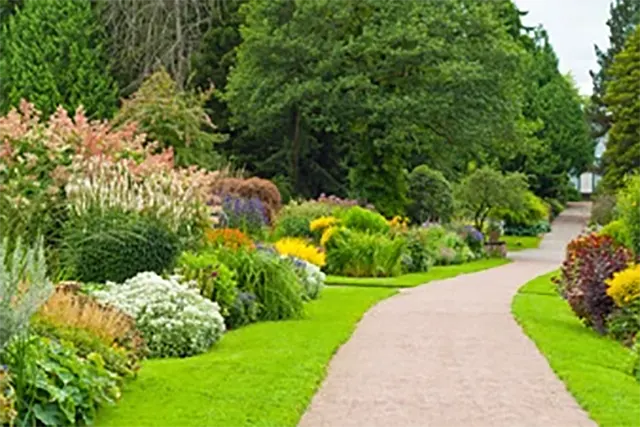 servicios de jardinería y piscinas